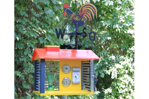 Wissner® active learning - Weather Station with instruments and weathercock