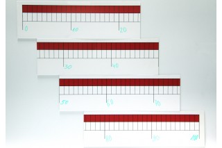 Universal Number Line Band magnetic
